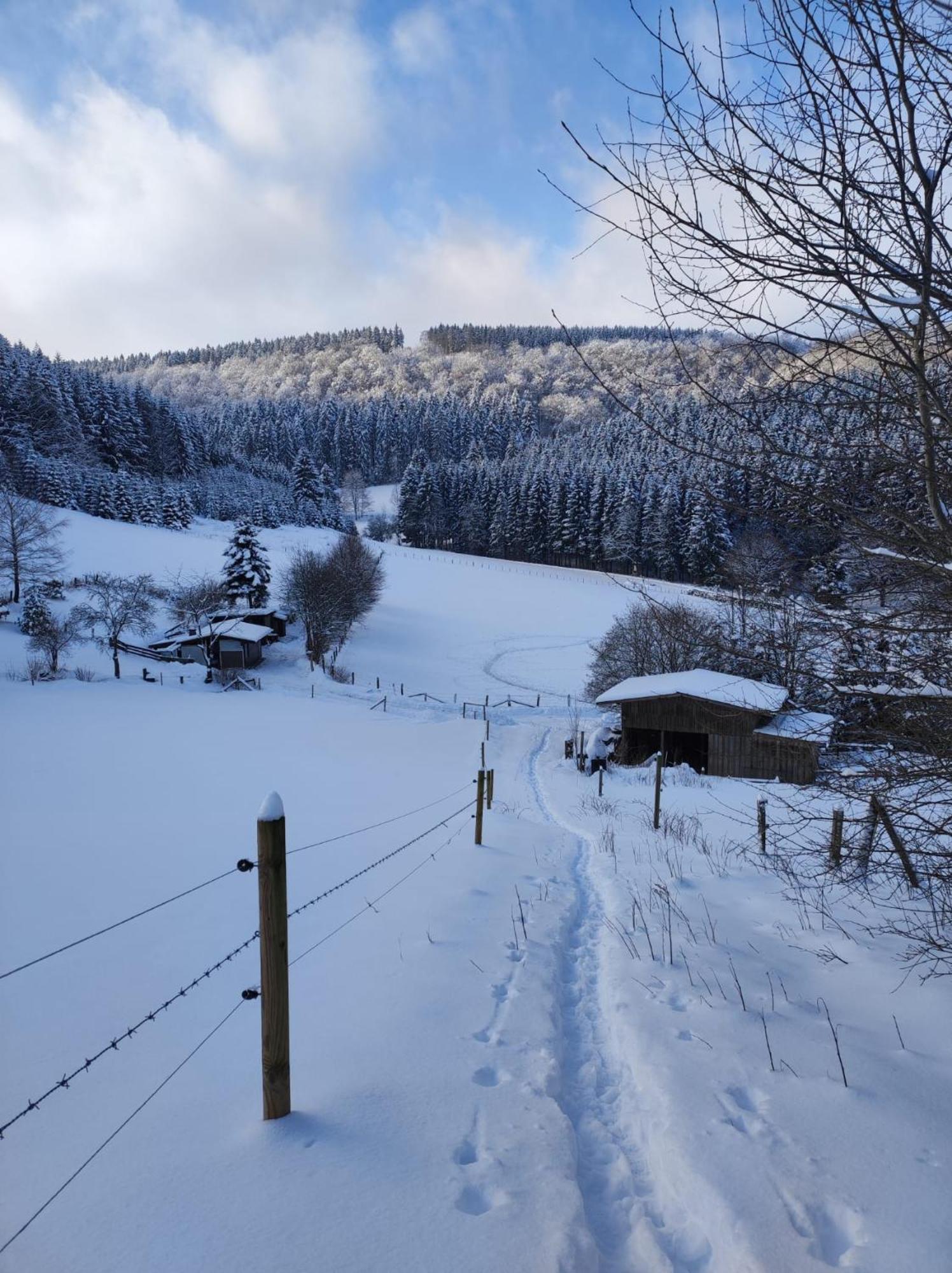Ferienwohnung Finkeldei Winterberg Exterior foto